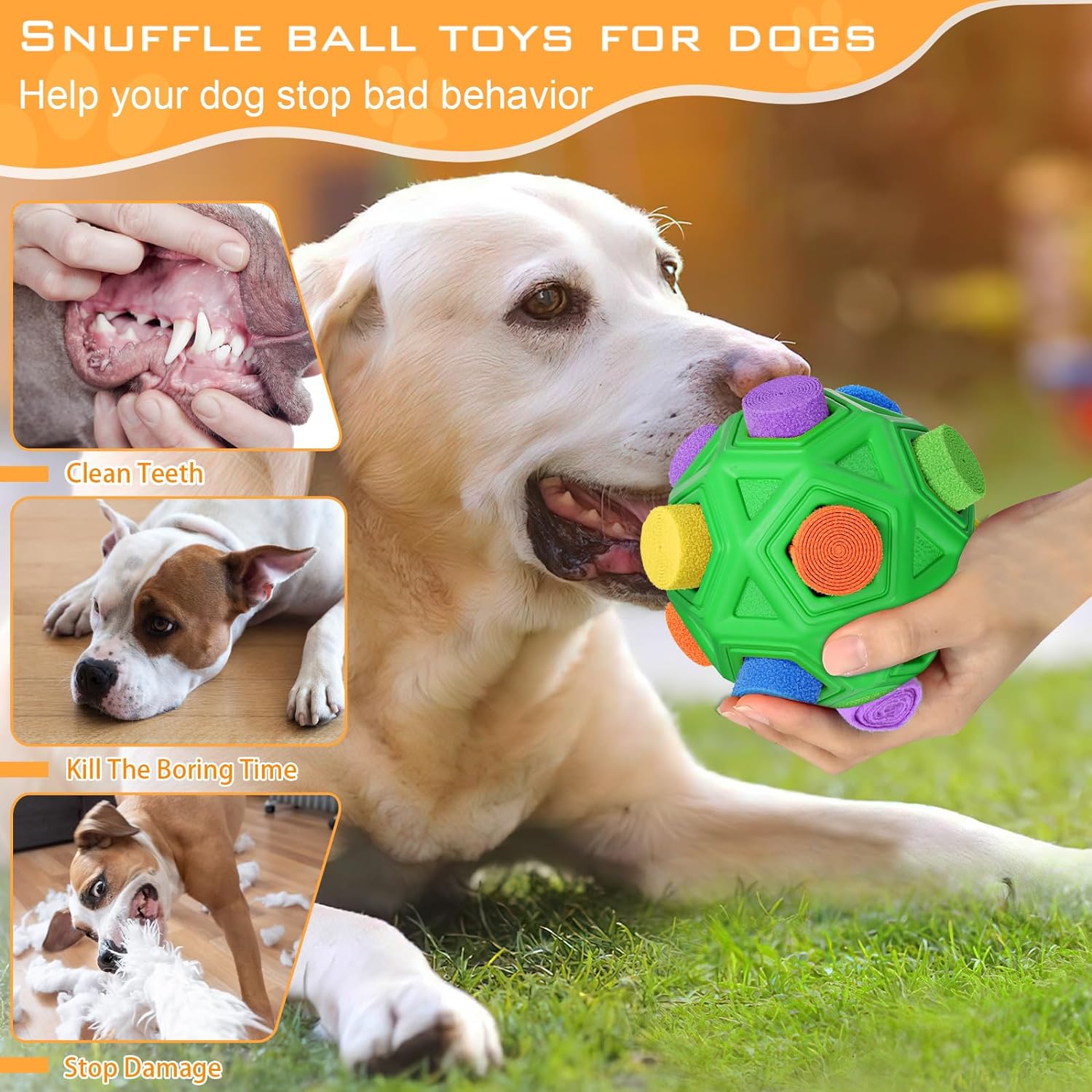 Dog toys